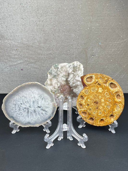 Holder for eksemplar/skive (L)