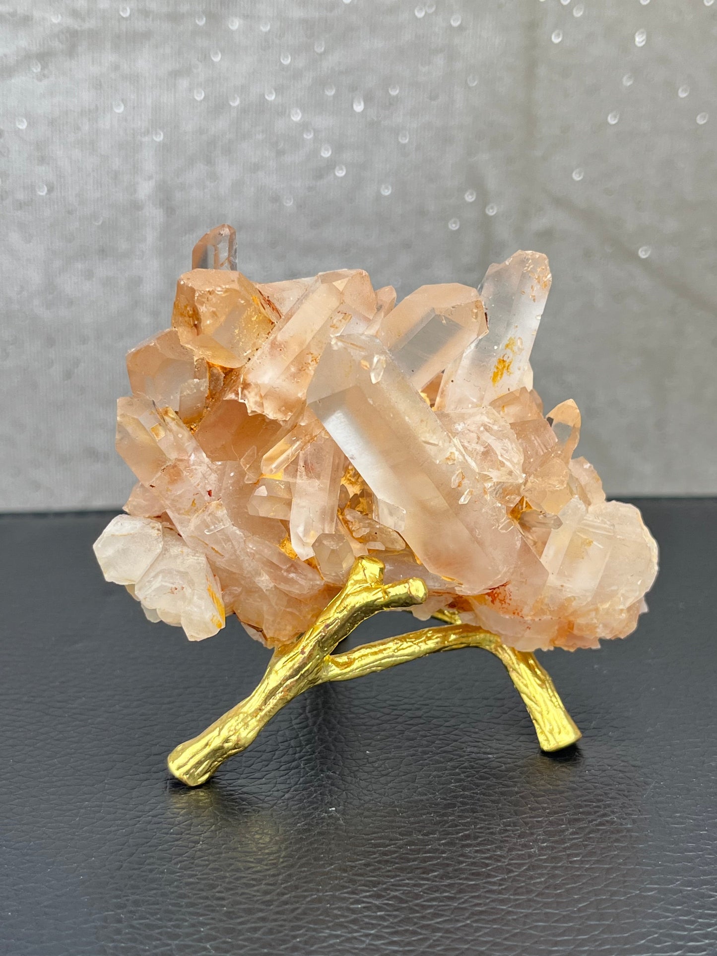 Holder for kule/eksemplar