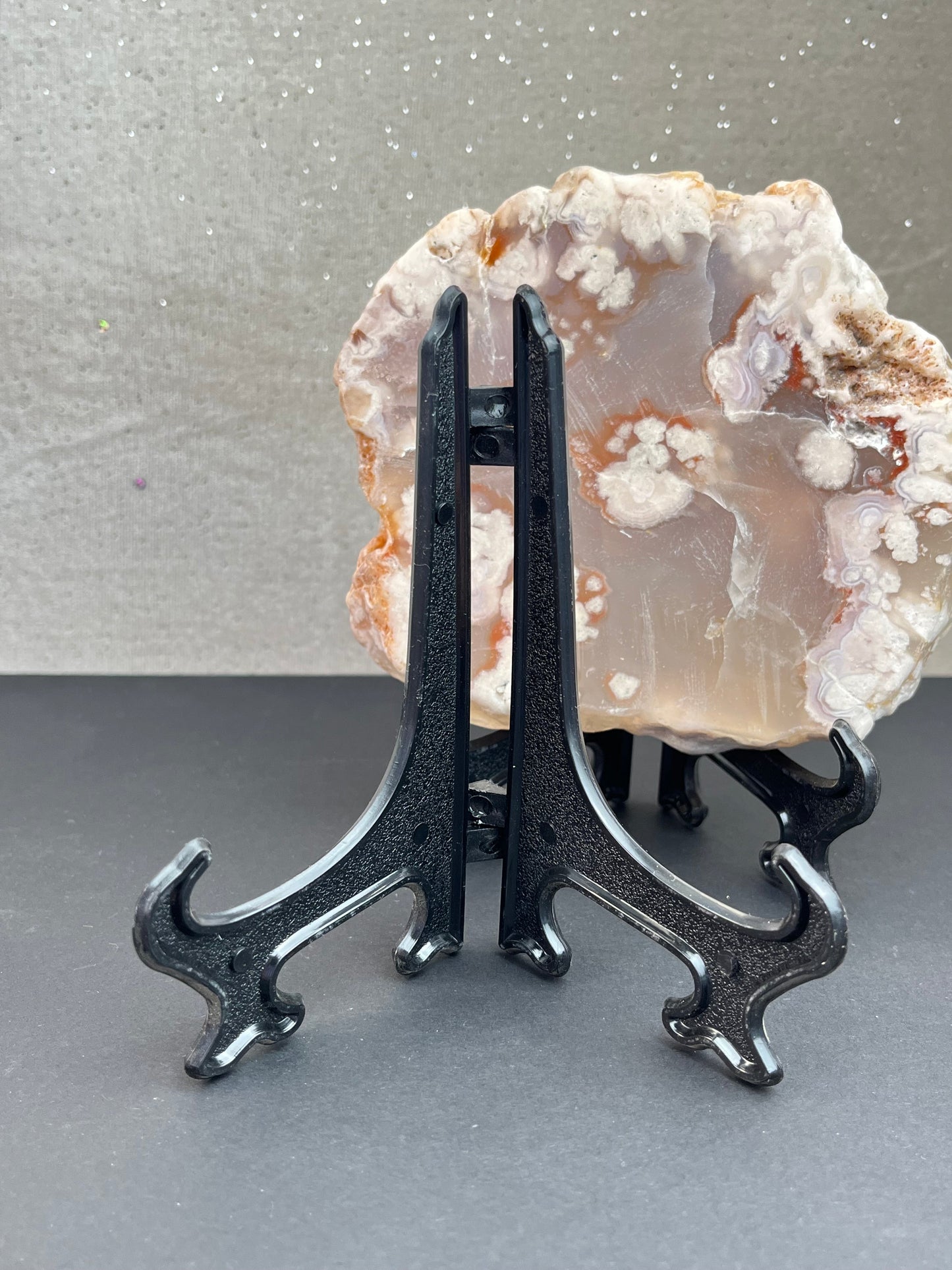 Holder for eksemplar/skive (L)