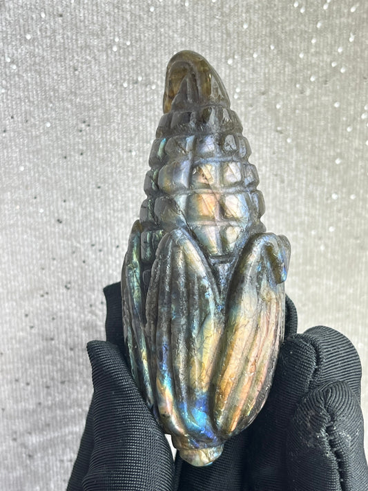 Labradoritt Maiskolbe