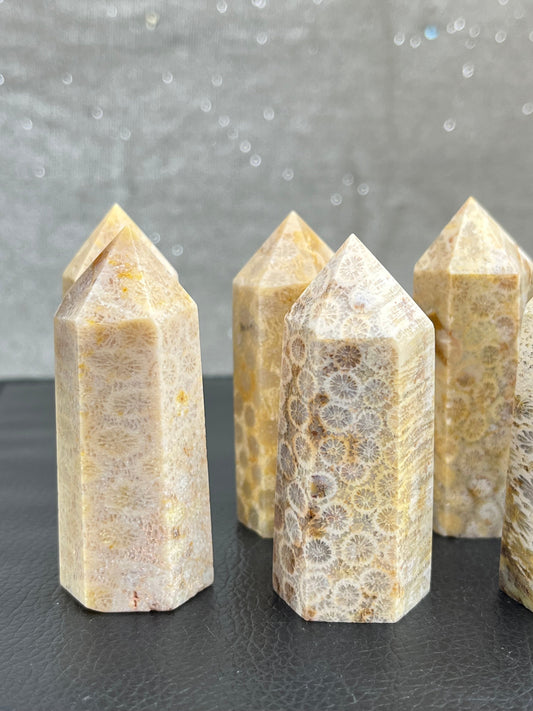 Agatisert Korall tårn