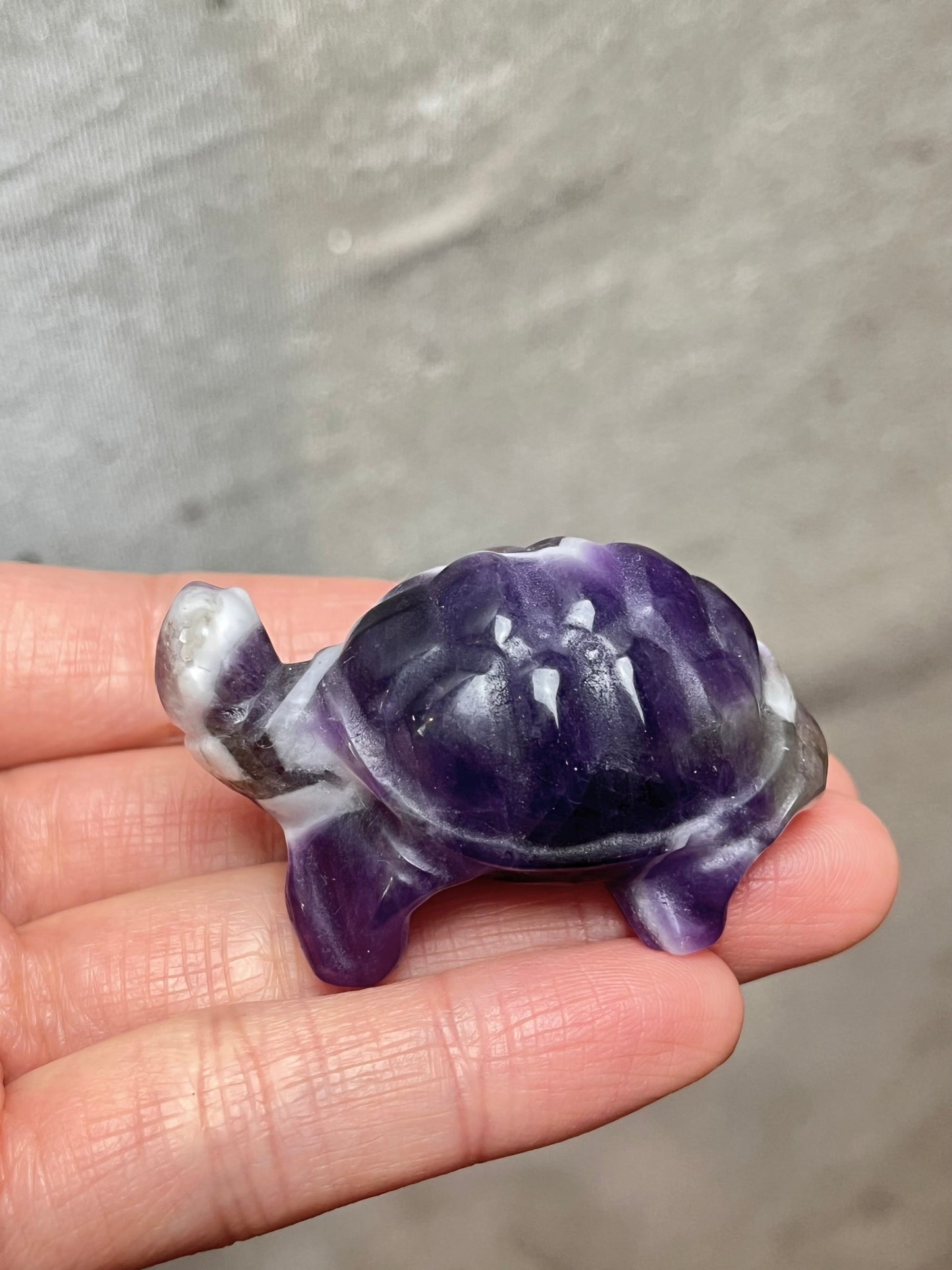 Bånd Ametyst skilpadde