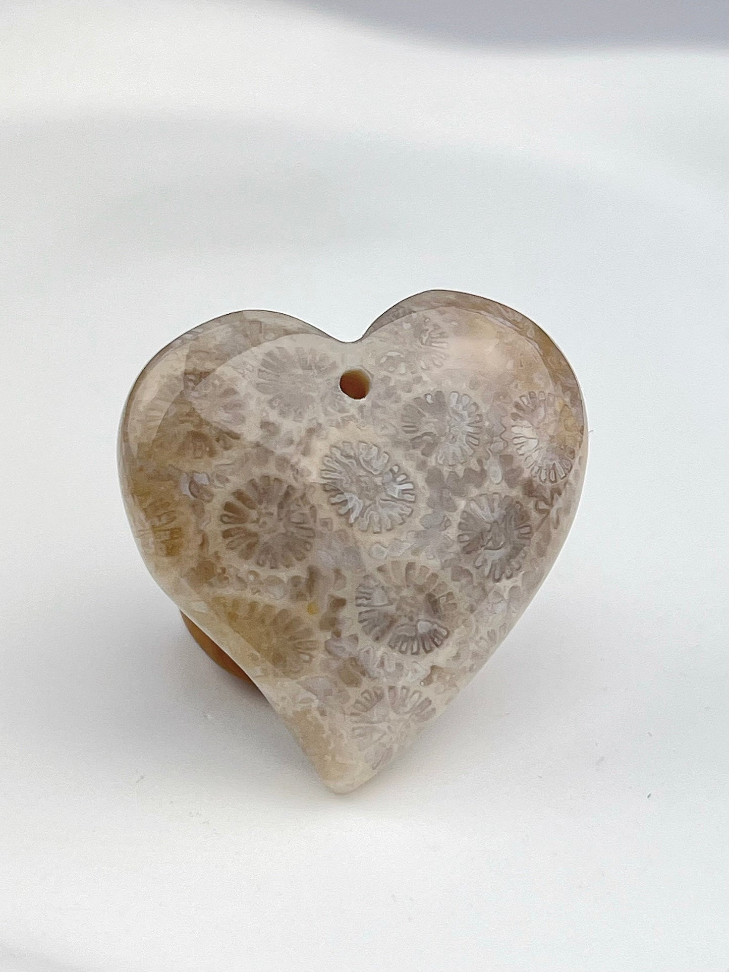 Agatisert Korall Anheng