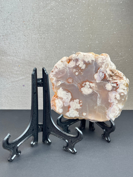 Holder for eksemplar/skive (L)