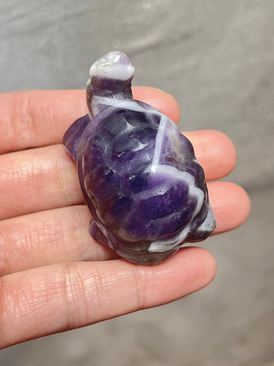 Bånd Ametyst skilpadde