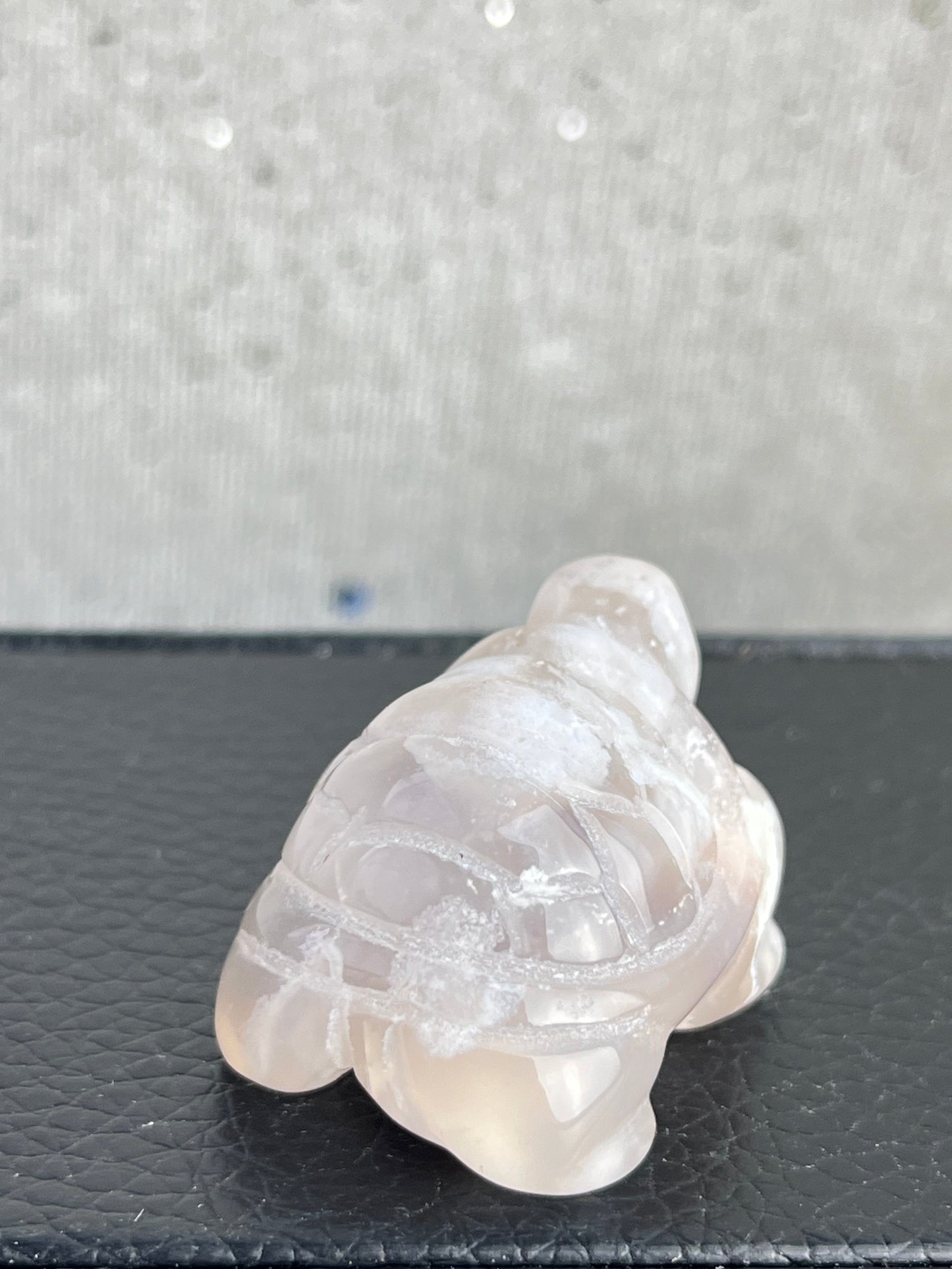 Blomster Agat skilpadde